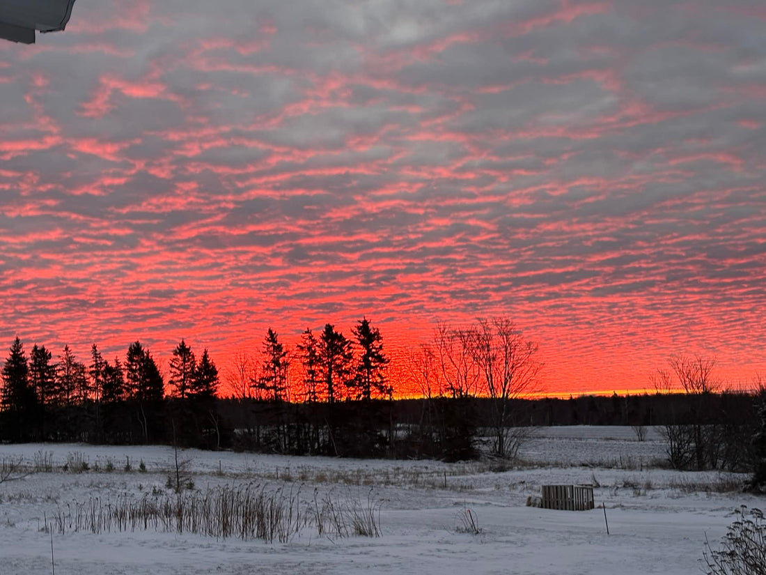 Starting 2026 on the right foot