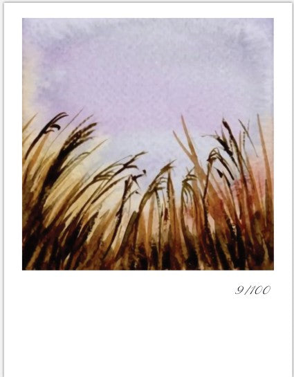 Post Cards  (Day 9)